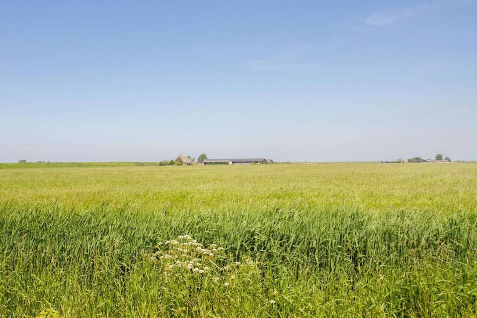 Surroundings [summer] (1-5 km)