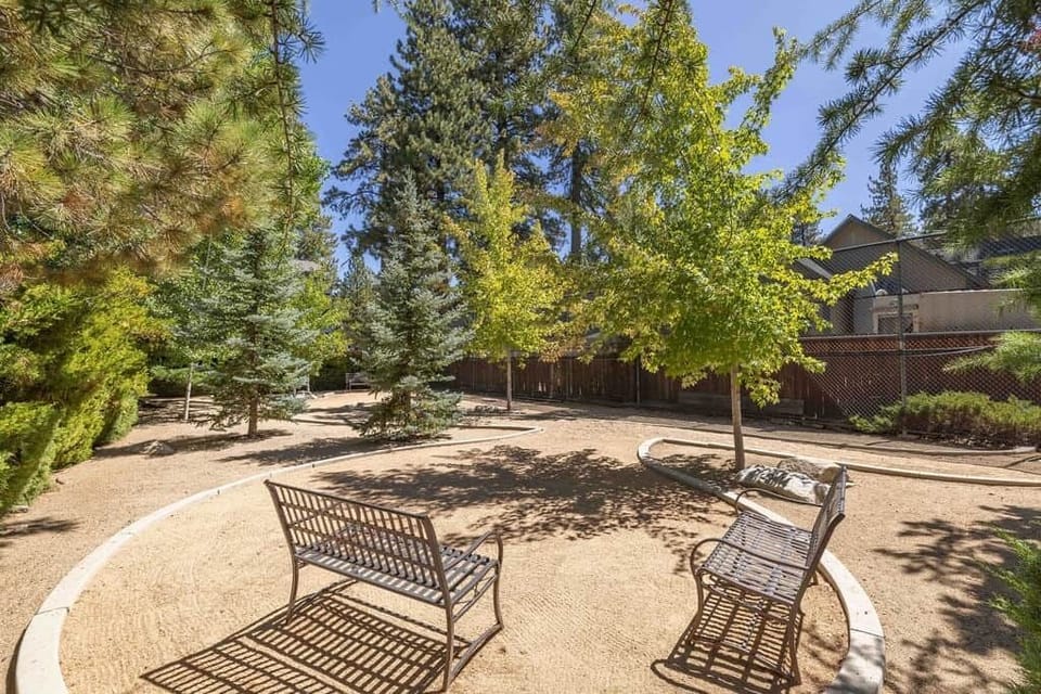 Backyard4 8616