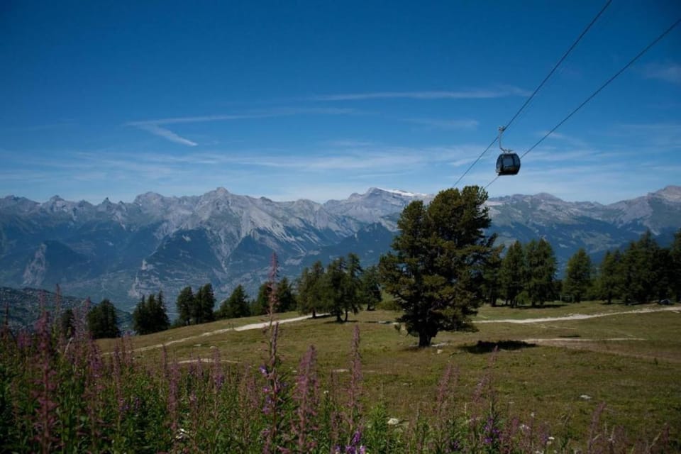 Surroundings [summer] (1-5 km)