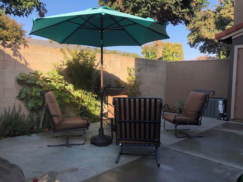 Furnished backyard with a lime tree to pick off of. 