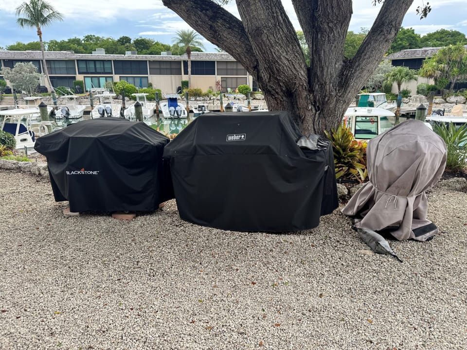 Gas and Charcoal Barbecues (Weber and Blackstone)