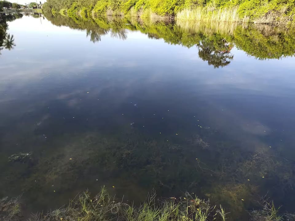 Miscellaneous