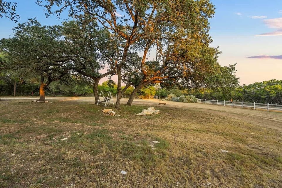 Front Yard w/ Swing