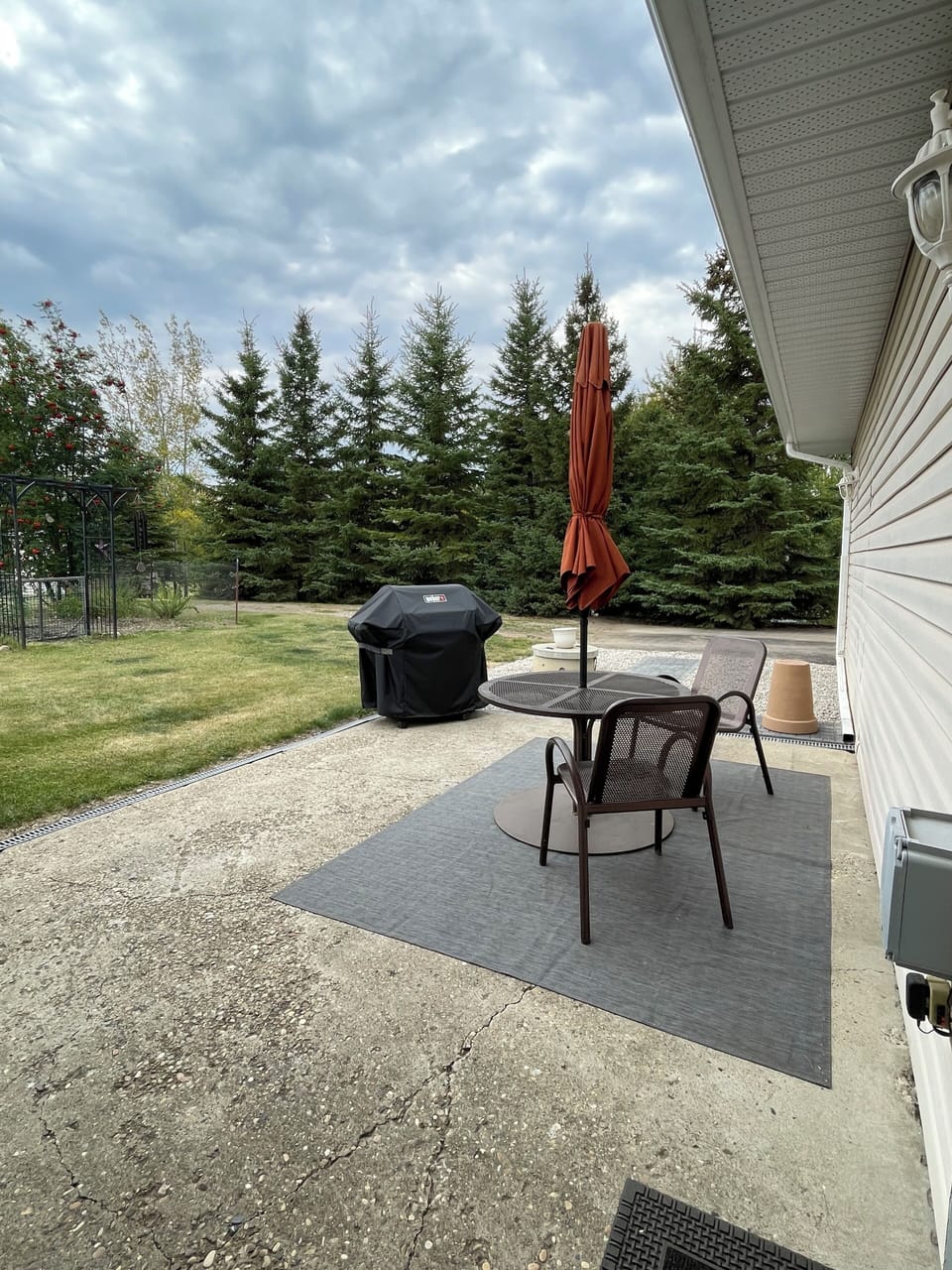 South facing deck and bbq