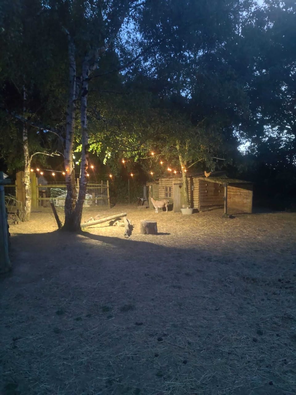 Property grounds