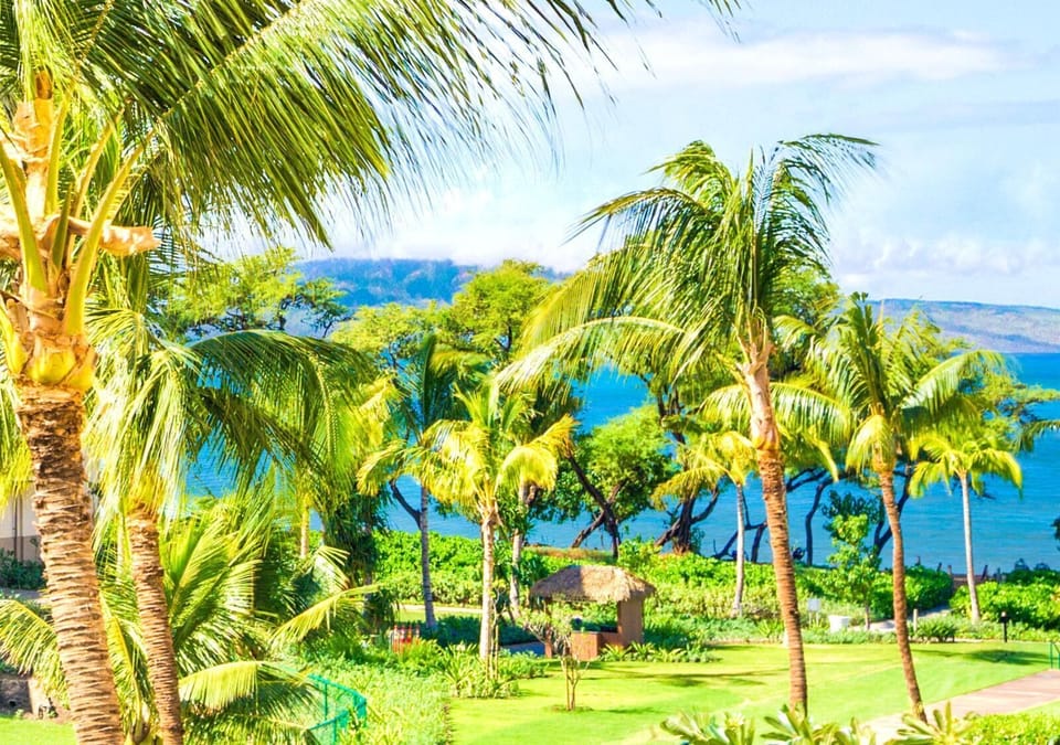 Wake up to lush gardens, swaying palms, and ocean blues—your daily view in this tropical Maui paradise     HKH-318