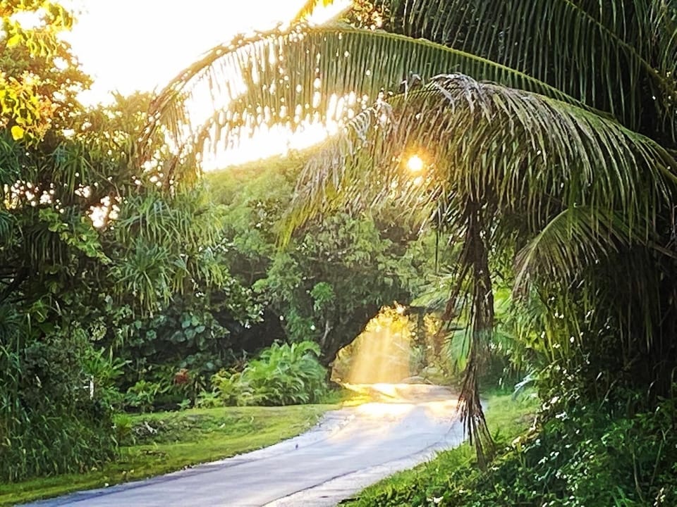 Enjoy the lush greenery on your drive to the property