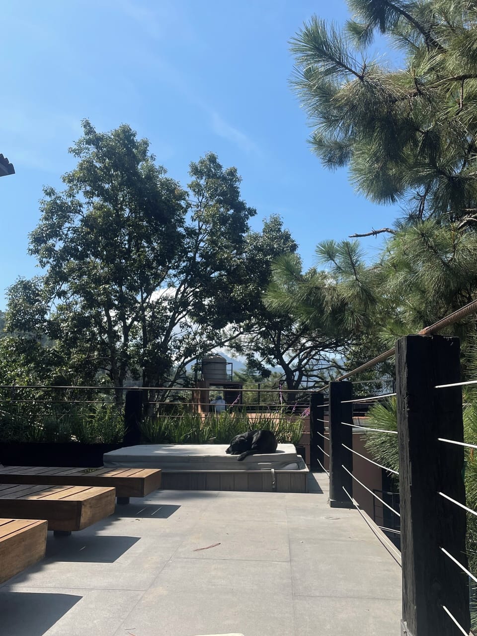 Terrace/patio