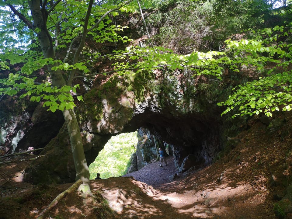 Surroundings [summer] (1-5 km)