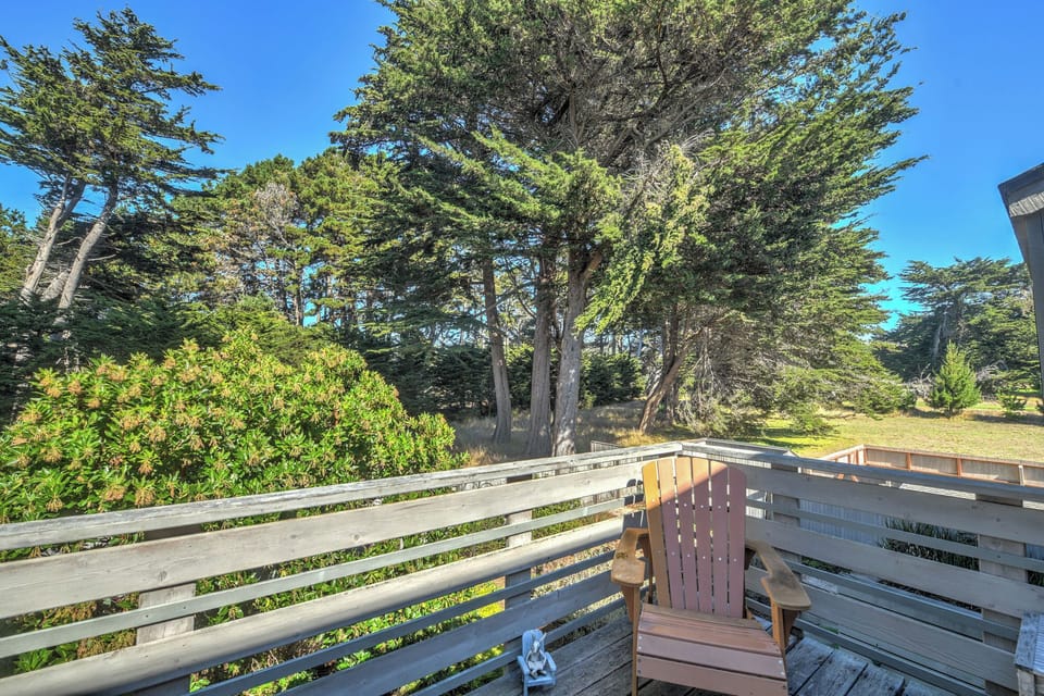 Upper level deck with view of courtyard and adjoining Gualala Point County Park