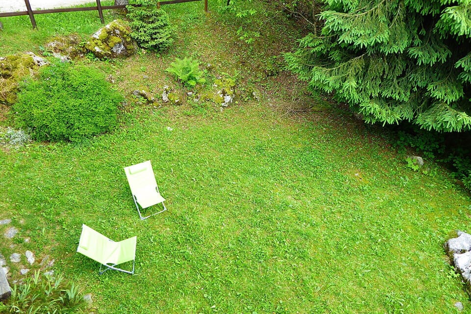Autumn, Garden, Spring, Summer