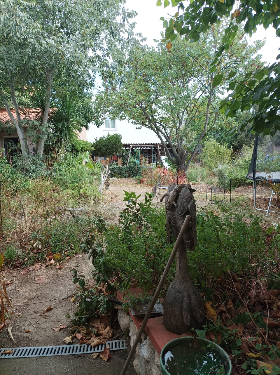 Property grounds