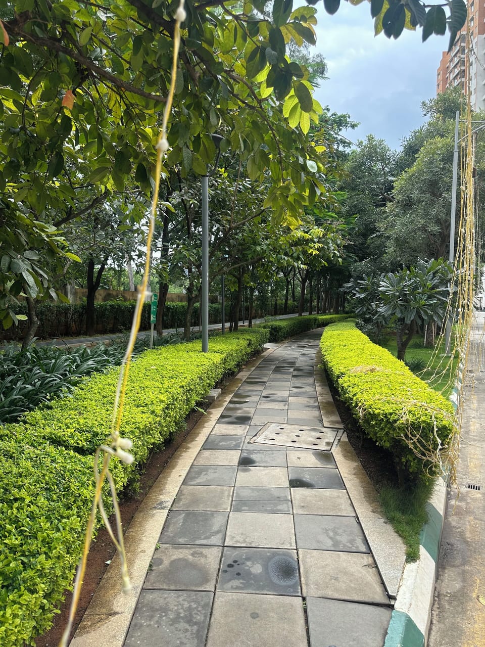 Walking/ jogging track