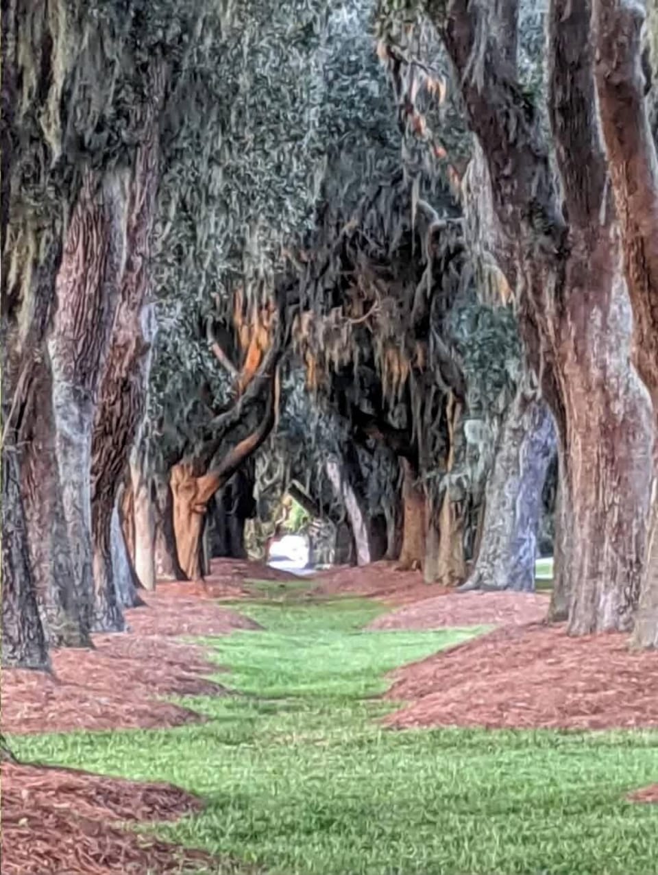 Avenue of the Oaks, 5 minutes from the condo