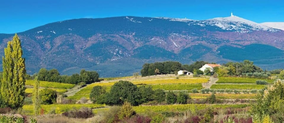 Alentours
Mont Ventoux, à 1 h en voiture
