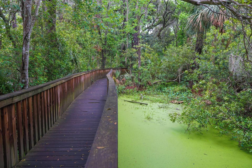 Wander the shaded boardwalk and spot local wildlife.