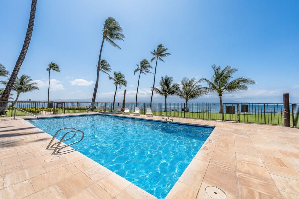 Dive into our sparkling pool surrounded by swaying palms and endless blue horizons. Whether swimming laps or lounging, these oceanfront views create the ultimate backdrop for pure relaxation. Sun, sea, and serenity await! 🏊‍♂️🌊🌴✨☀️