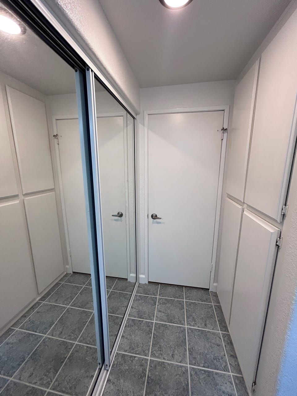 Mirrored closet and linen closet.