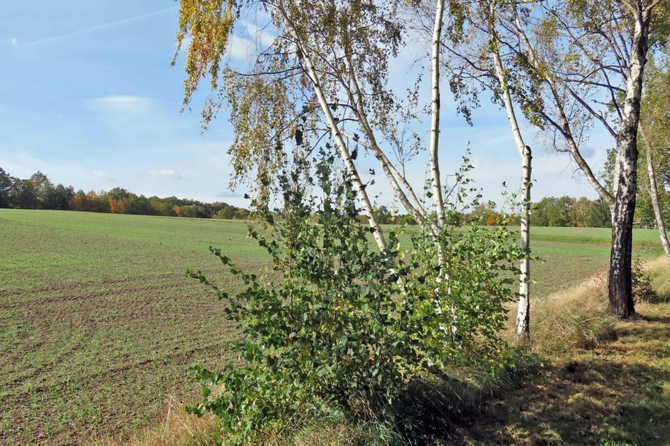 Surroundings [summer] (1-5 km)