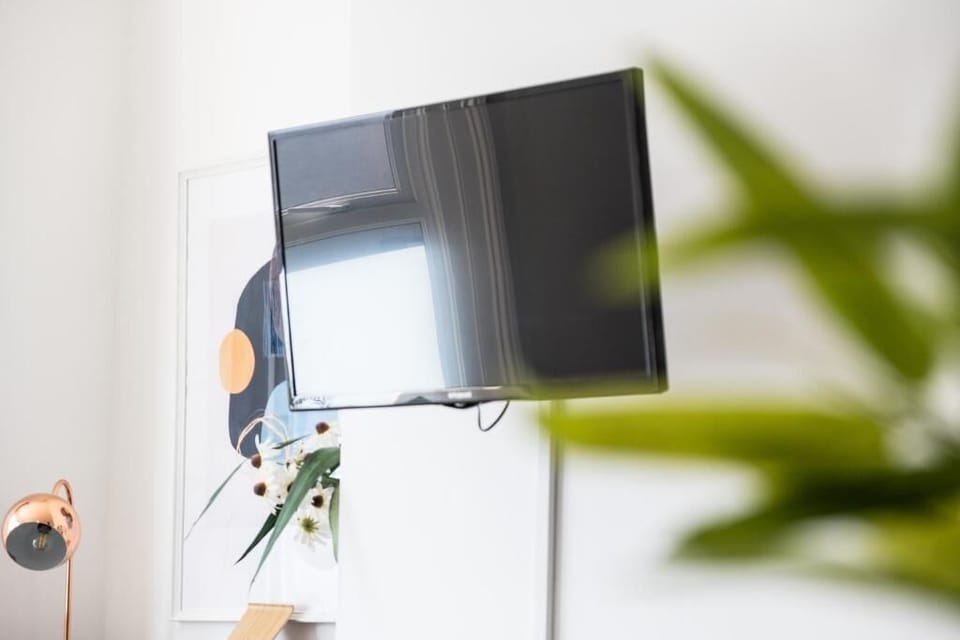 Television