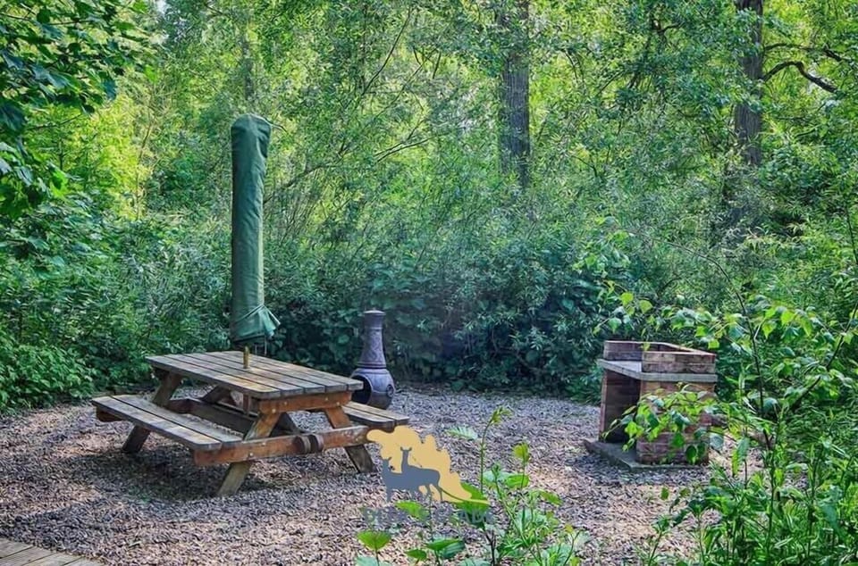 Back Garden