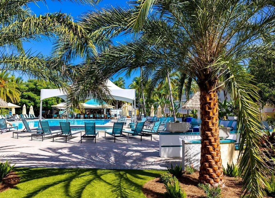 Sip something cool while relaxing in a palm-lined paradise.