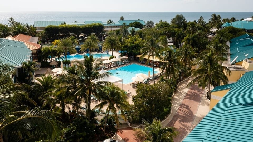 Lounge poolside beneath palms and feel the ocean breeze.