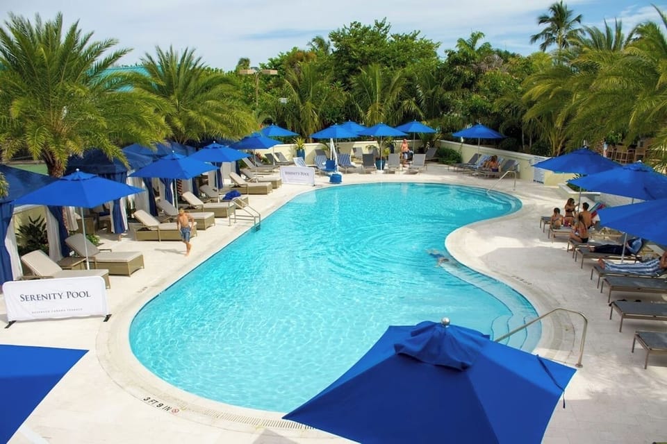 Dive into crystal-clear waters framed by swaying tropical palms.