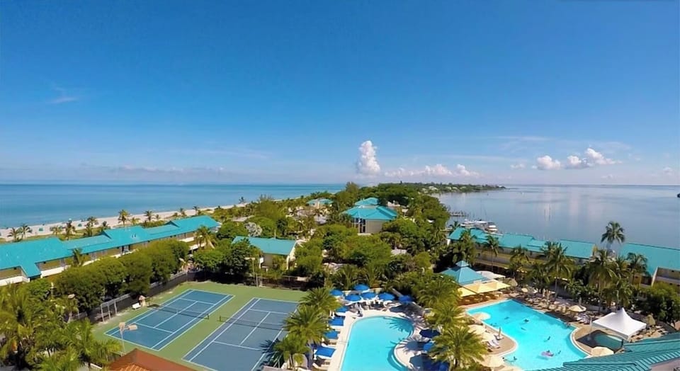 Dive into the sparkling pool after a sun-soaked morning.