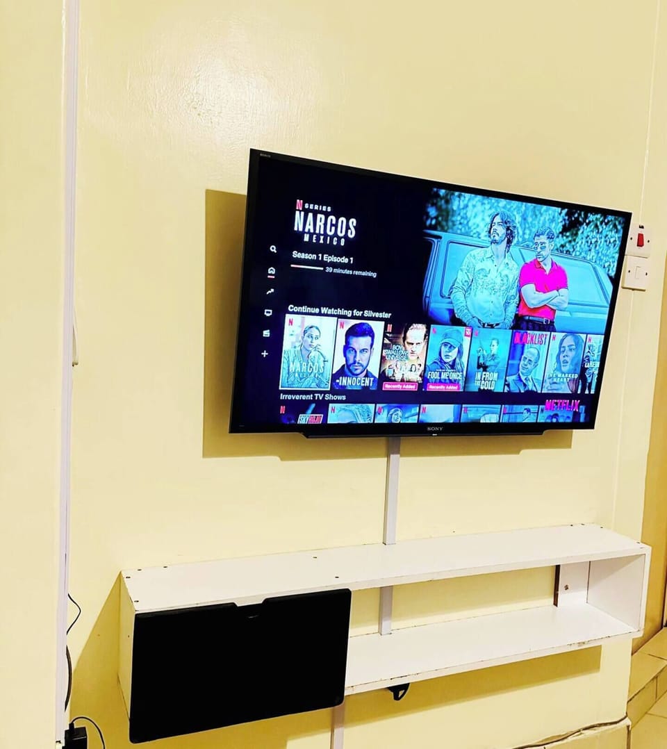Television