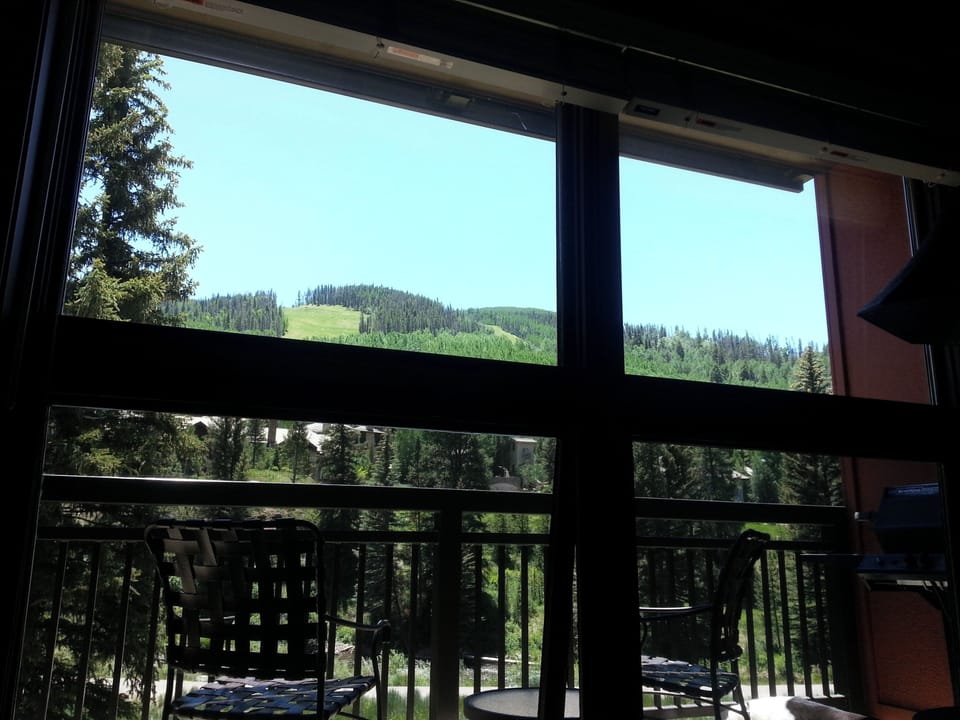 Summer view from condo living room