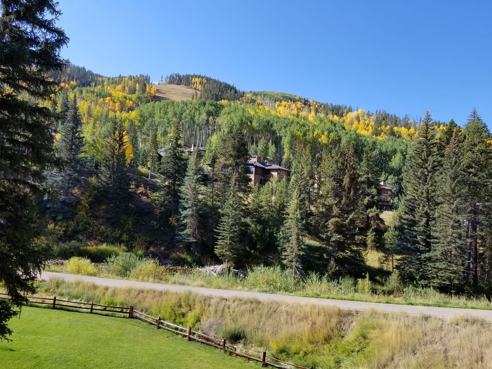 Fall view from balcony