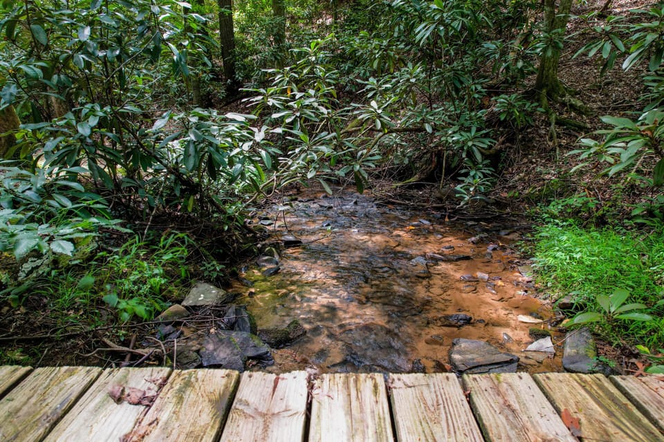 Bridge over creek