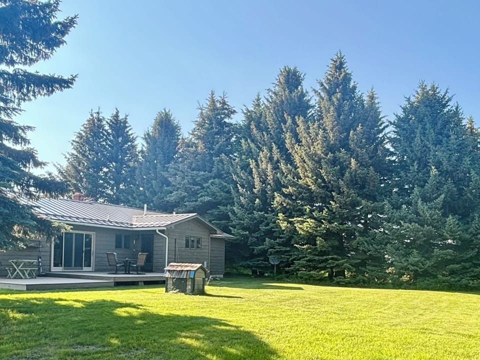 nice, shaded back patio surrounded by large pine trees!