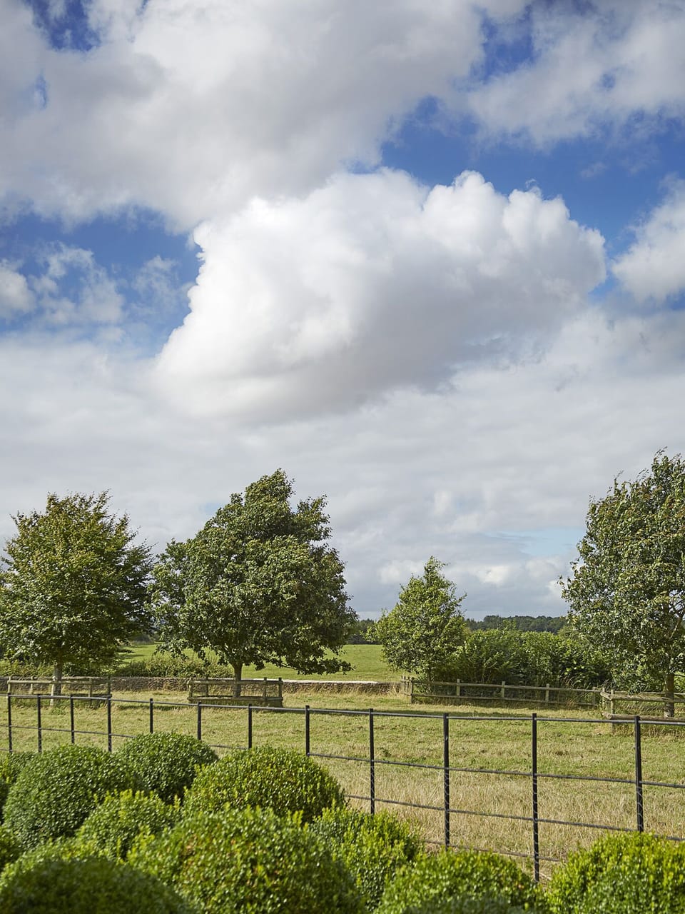 Countryside 