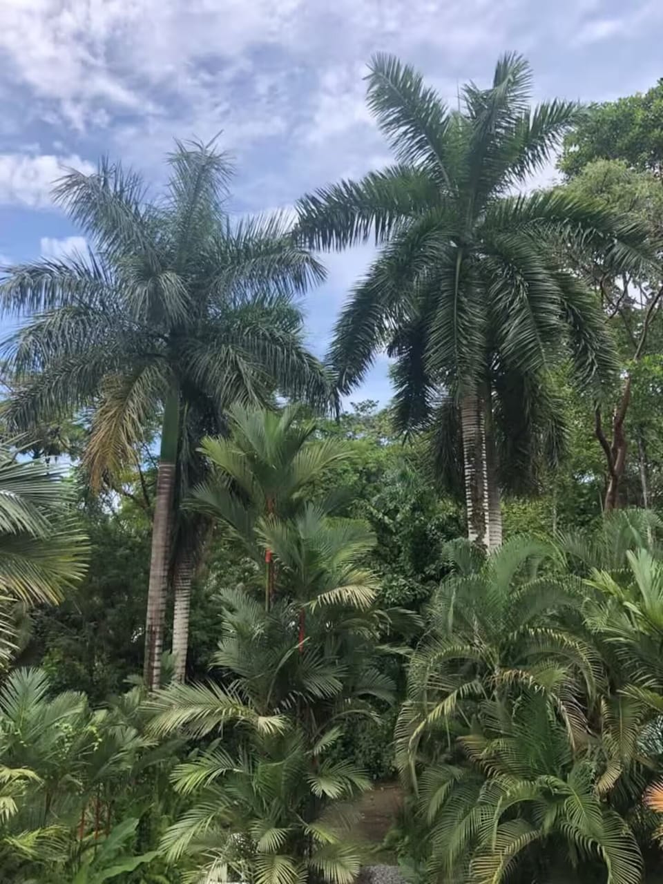 Miscellaneous