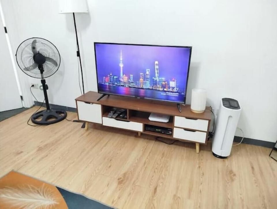 Television