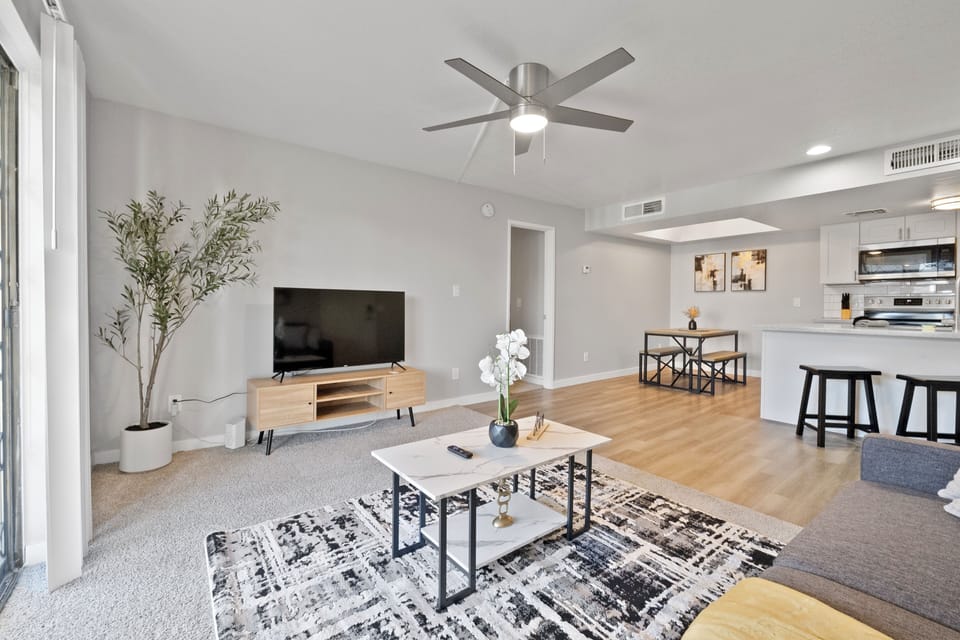 Living Room Area