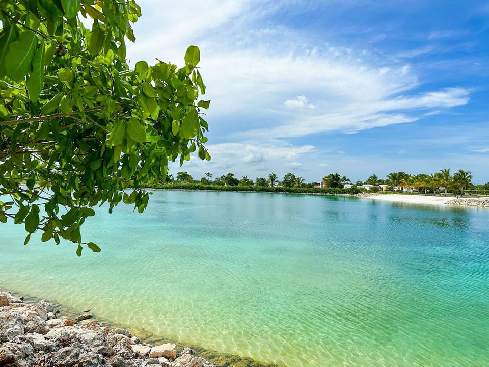 Lake view