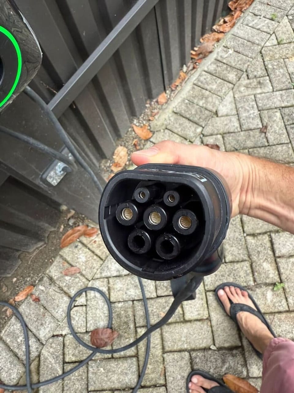 Electric Charger Adaptor, Somnara Flor Silvestre