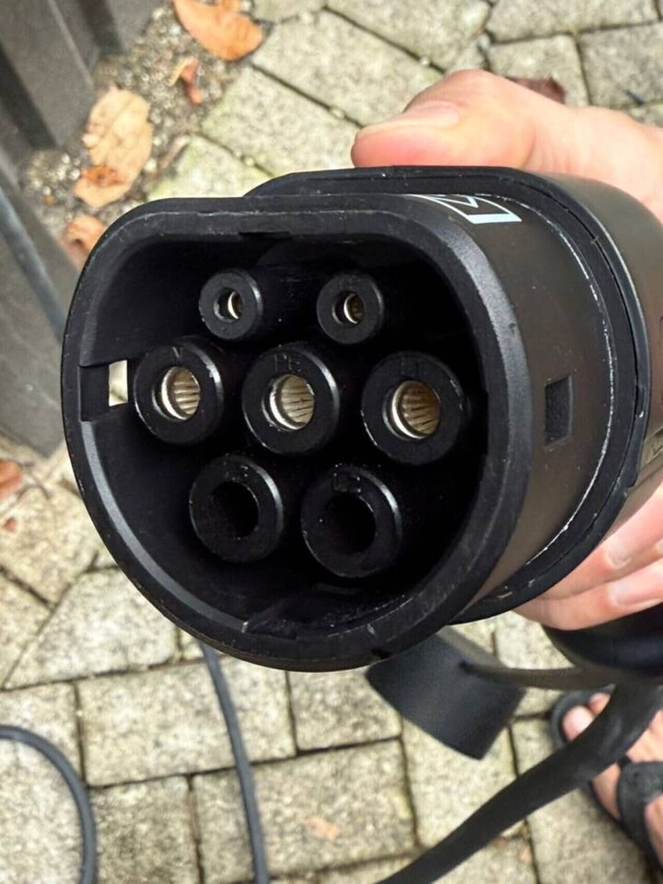 Electric Charger Adaptor, Somnara Bosque Tropical