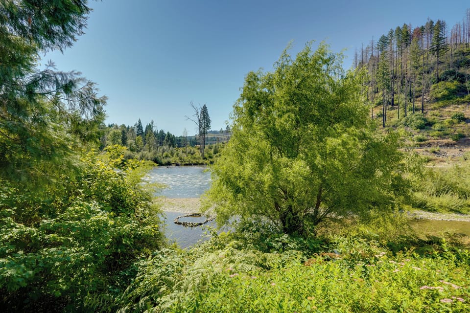 Surrounding Area | McKenzie River