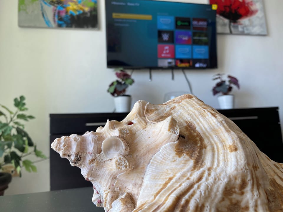 Television