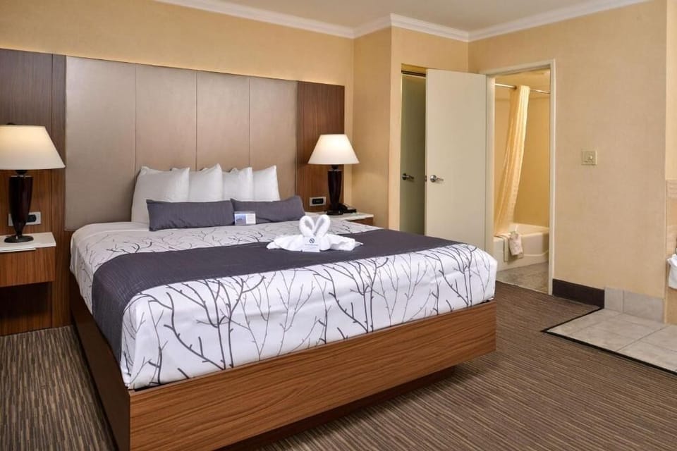King bed with Tub