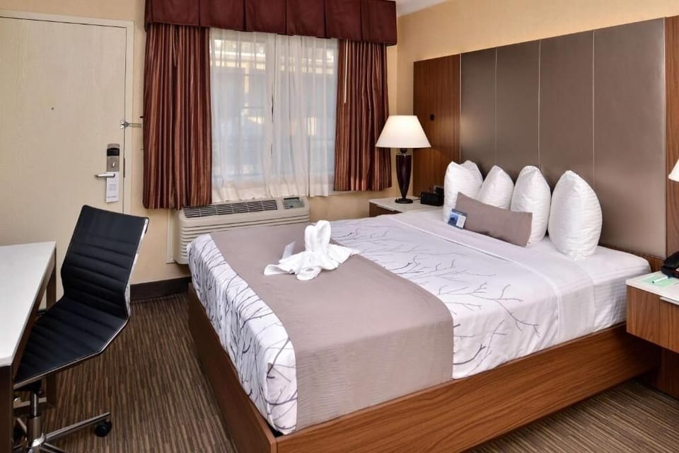 1 King Bedroom