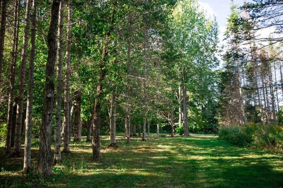 Plenty of space for kids to explore! (paths are shared use)