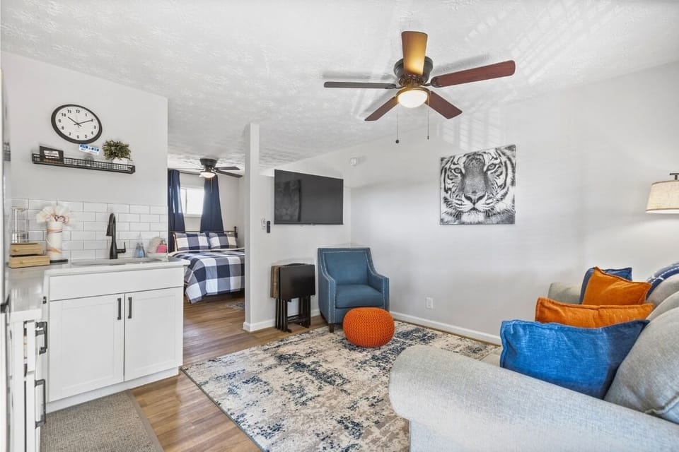 Open studio living space with seating and a pull-out sofa.