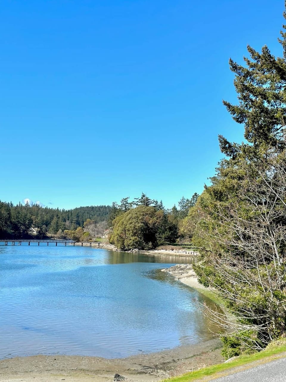 Deer Harbor beach, steps away. Kayak/SUP rental available. 