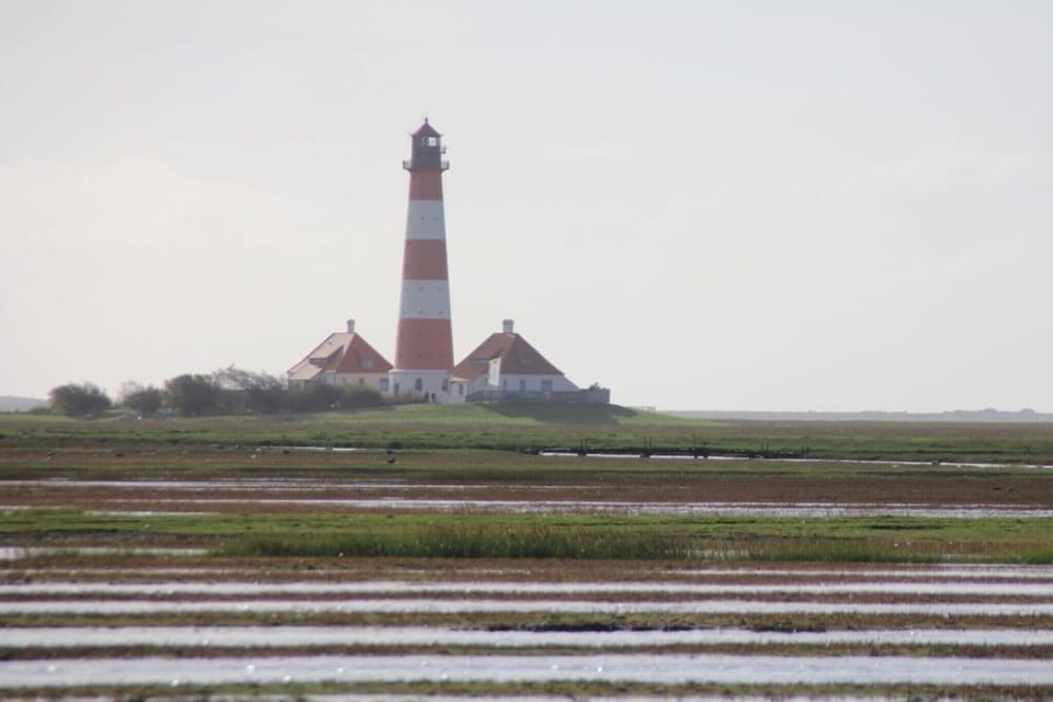 Surroundings [summer] (1-5 km)