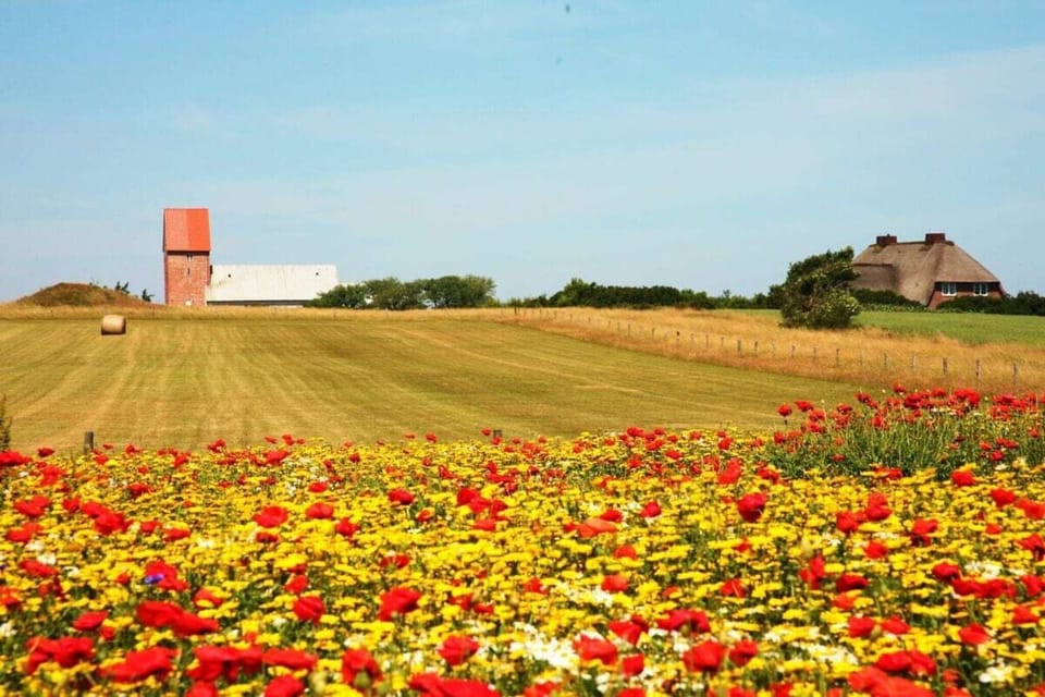 Surroundings [summer] (1-5 km)